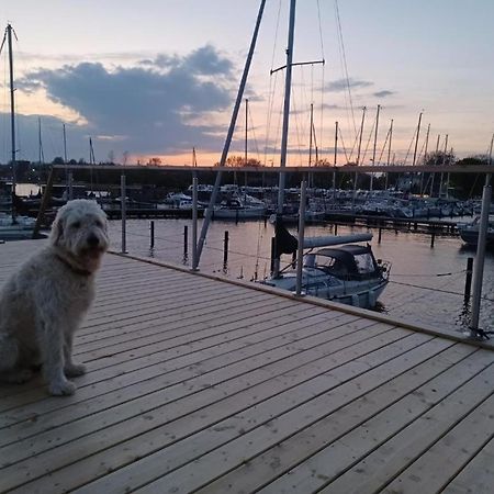 Hausboot Gluecksmomente Mit Dachterrasse In Schleswig Am Ostseefjord Schlei Kültér fotó