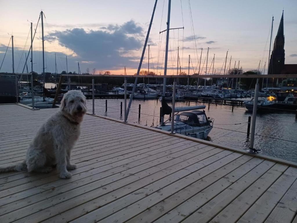 Hausboot Gluecksmomente Mit Dachterrasse In Schleswig Am Ostseefjord Schlei Kültér fotó